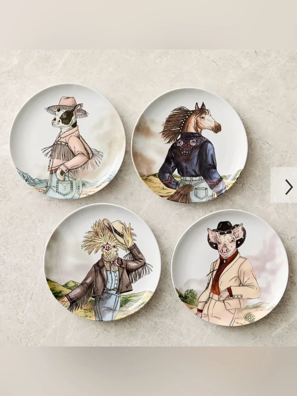 dapper animal west elm western chicken plate